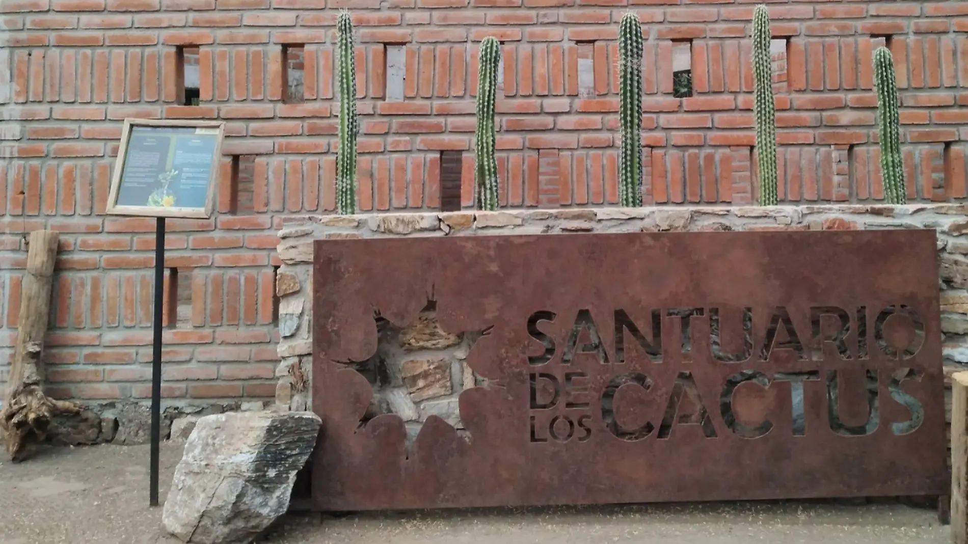 Visita el Santuario de los Cactus en La Paz